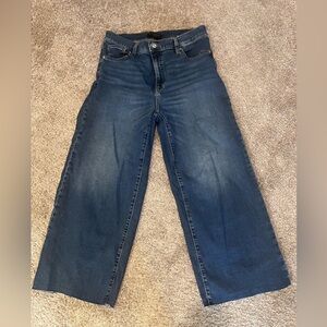 Banana Republic Wide Leg Crop Jean